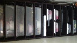 20150527_100545.jpg