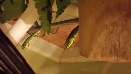 20151008_222058.jpg