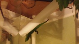 20151008_222106.jpg