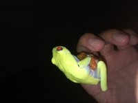 image.jpg