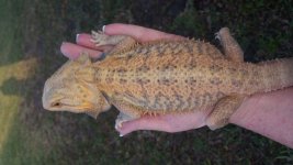 20160328_184643.jpg