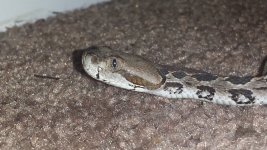 20160120_144552.jpg