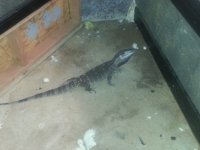 20151208_100422.jpg