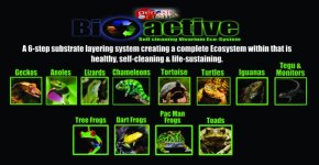 bioactiveheader.jpg