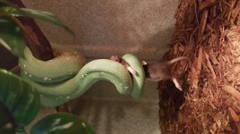 20151226_142249.jpg