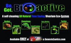 bioactive banner.jpg