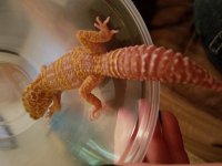 20160706_130918.jpg