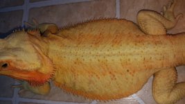 20160707_133803.jpg