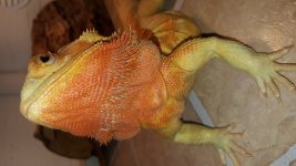 20160522_155602.jpg