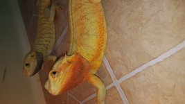 20160520_194149.jpg