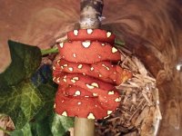 20160205_074939.jpg