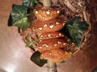 20160205_074921.jpg