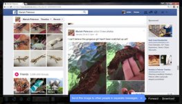 Screenshot (110).jpg
