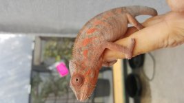 20160126_144158.jpg