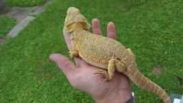 20160717_115659.jpg