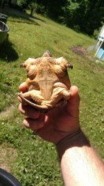 IMG_20160529_103108545.jpg