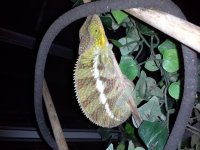 20160106_223713.jpg