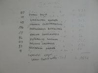 DSCN0969.JPG