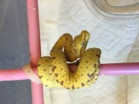 gtp3.jpg