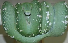 image.jpeg