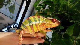 20160326_103657.jpg