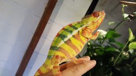 20160326_103620.jpg