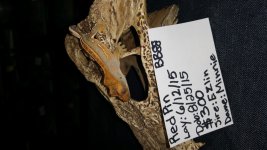 20160524_202841.jpg
