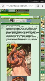 Screenshot_20160823-111957.jpg