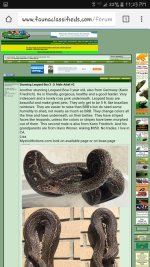 Screenshot_20161204-232339.jpg