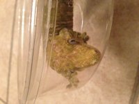 IMG_4248.jpg