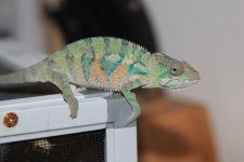 IMG_9767.jpg