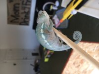 IMG_2755.jpg