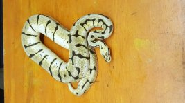 20160815_014135.jpg