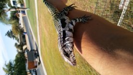 20160928_105953.jpg