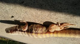 20161105_115328.jpg