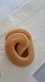 female spinner.jpg