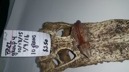 20160826_144811.jpg