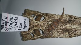 20160826_133138.jpg