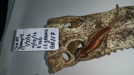 20160826_134321.jpg