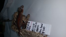20160828_183043.jpg