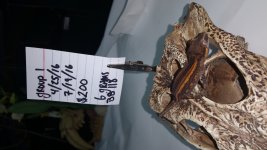 20160828_185016.jpg