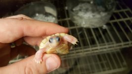 20170310_164136.jpg