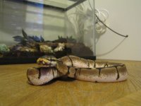 IMG_2579.jpg
