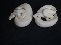 DSCF2777.jpg