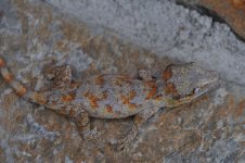 DSC_0751.jpg