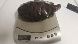 20170123_091106.jpg