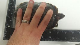 20170123_091154.jpg