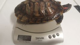 20170123_090646.jpg