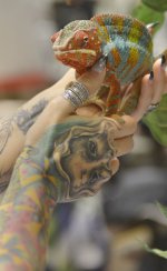 SS_20170115lrreptileshow10.jpg