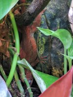IMG_20170124_075104.jpg